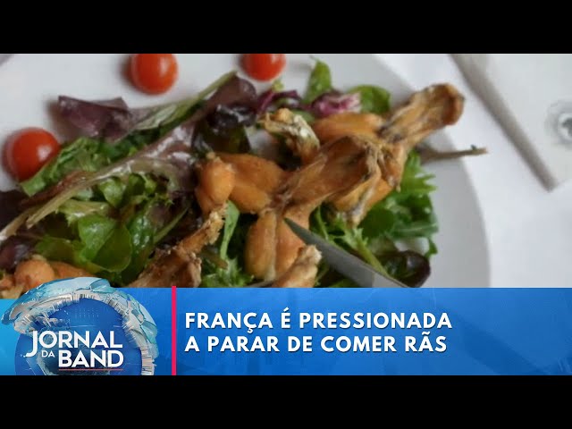 ⁣França está pressionada a parar de comer rãs | Jornal da Band