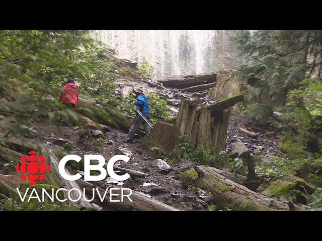 ⁣Caring for B.C.'s vast trail network