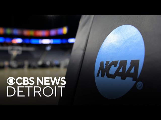 ⁣Detroit sportscaster weighs in on NCAA settlement