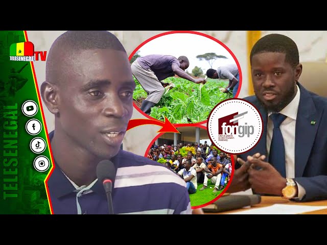⁣Emploi des Jeunes et transparence dans les affaires publiques : Diamane Guéye Pdt (MET) révèle..