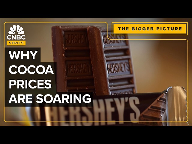 ⁣How The Price Of Chocolate's Key Ingredient Surged More Than 300% In 2024