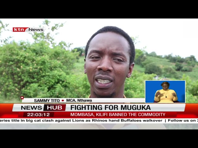 ⁣Embu County seeks to appeal the muguka ban