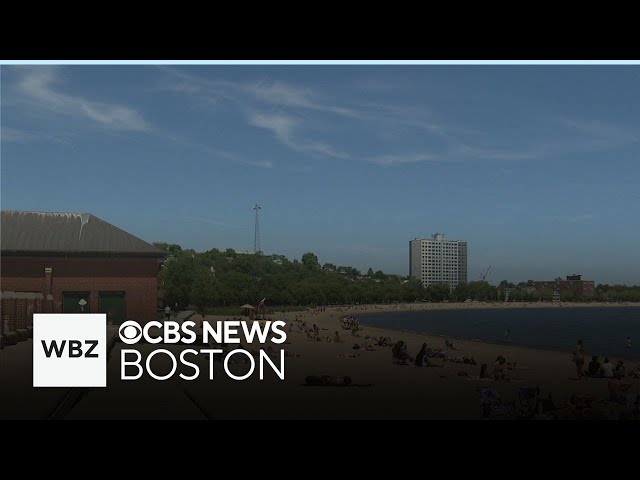 ⁣Police investigating 100 person fight at Carson Beach in South Boston