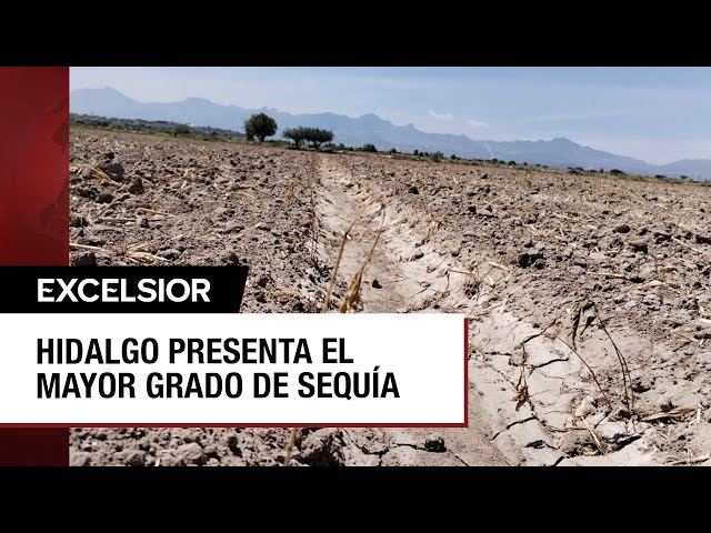 ⁣Sin siembras en Hidalgo por sus niveles más altos de sequía