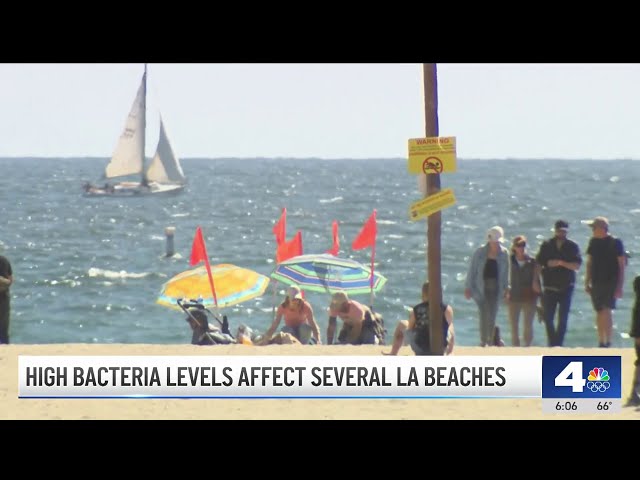 ⁣High bacteria levels at several LA County beaches