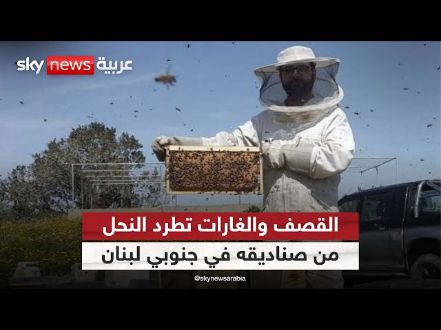 ⁣القصف والغارات تطرد النحل من صناديقه في جنوبي لبنان