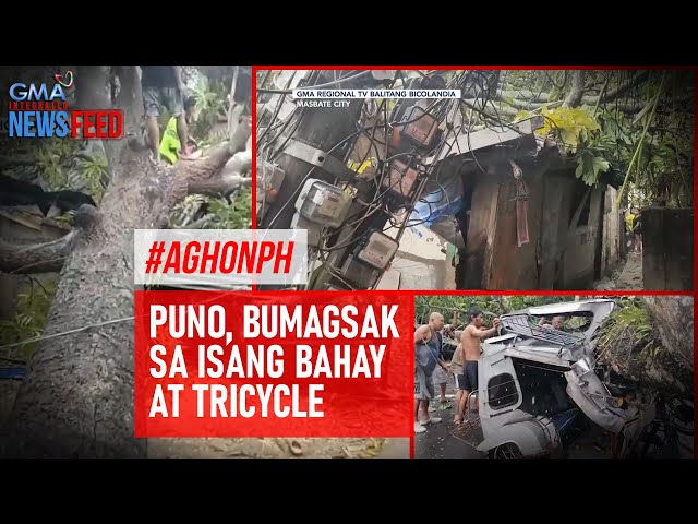 ⁣#AghonPH Puno, bumagsak sa isang bahay at tricycle | GMA Integrated Newsfeed