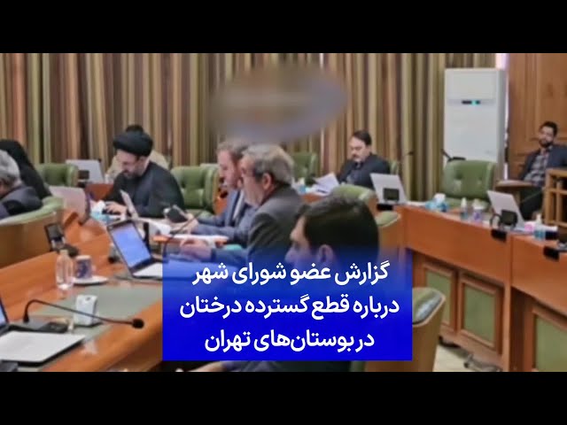 ⁣گزارش عضو شورای شهر درباره قطع گسترده درختان در بوستان‌های تهران