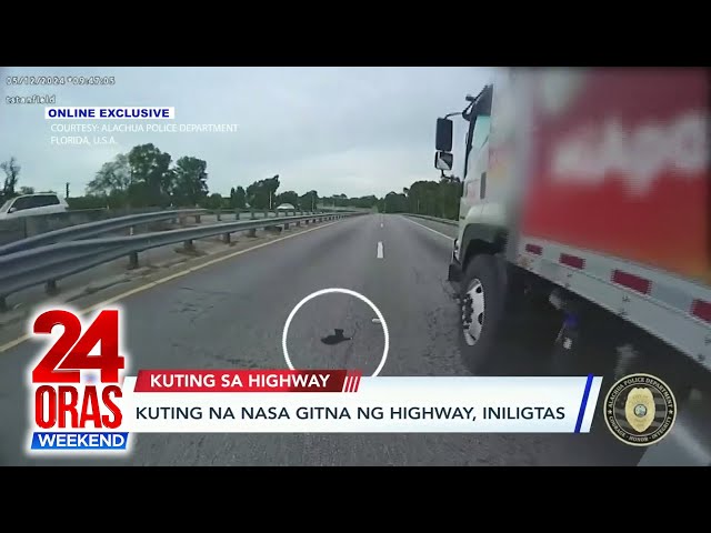 ⁣ONLINE EXCLUSIVE: Kuting na nasa gitna ng highway, iniligtas | 24 Oras Weekend