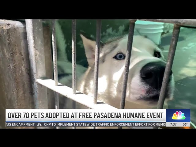 ⁣Over 70 pets adopted at Pasadena Humane event
