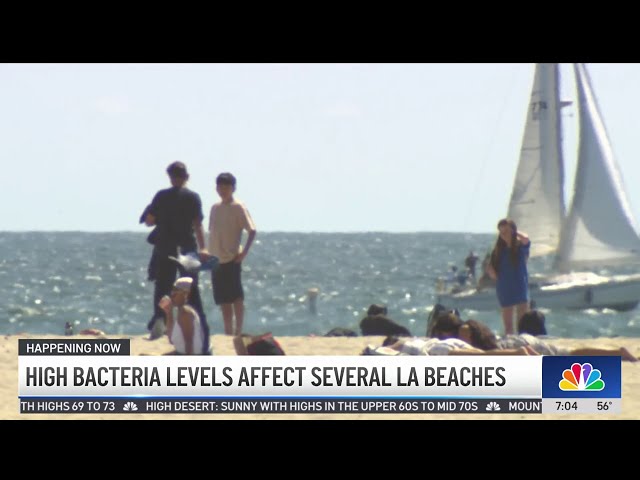 ⁣High bacteria levels affect several LA beaches