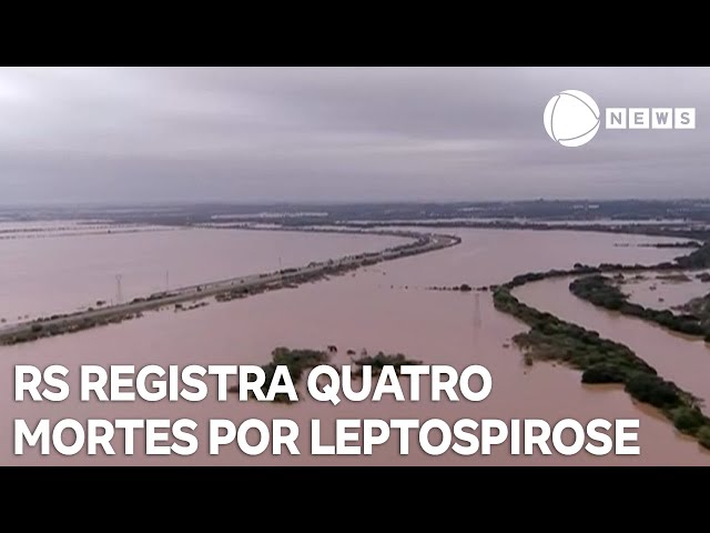 ⁣Rio Grande do Sul registra quatro mortes por leptospirose