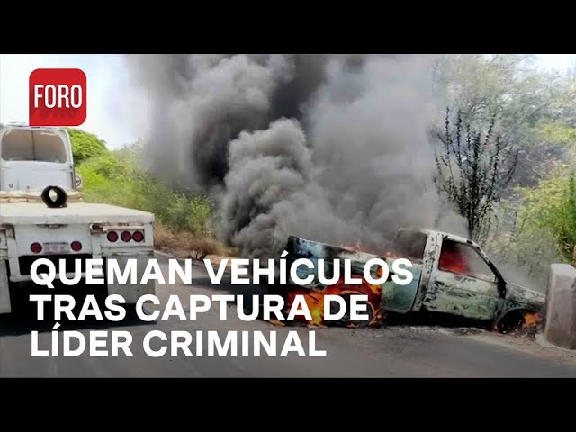 ⁣Bloqueos y quema de vehículos en Buenavista, Michoacán tras captura de líder criminal - Las Noticias