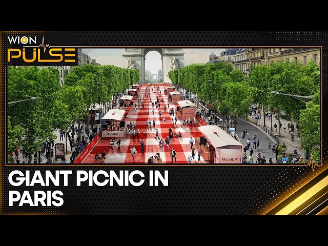 ⁣Paris: Thousands of people take part in free picnic on the Champs-Élysées | WION Pulse