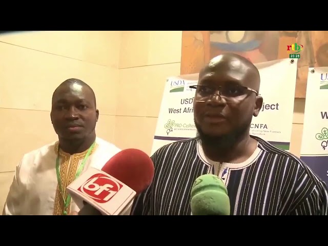 ⁣PRO-CASHEW est à terme au Burkina Faso : 179 millions de FCFA investi, dans la filière Anacarde