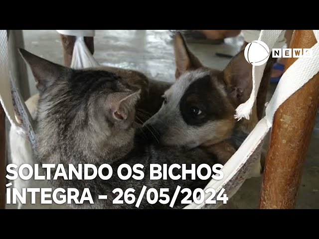 Soltando os Bichos - 26/05/2024