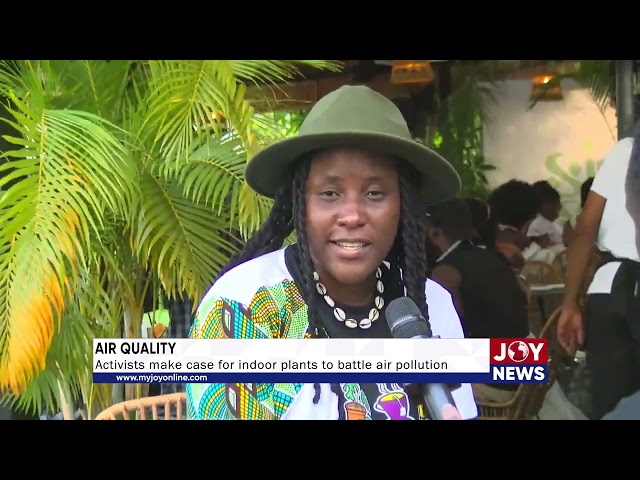 ⁣Air Quality: Activists make case for indoor plants to battle air pollution. #JoyNews