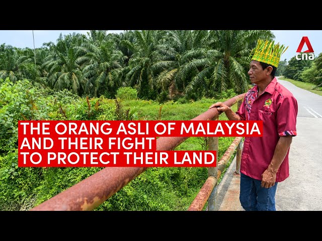 ⁣The Orang Asli's fight to protect their land