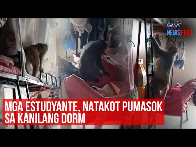 ⁣Mga estudyante, natakot sa pumasok sa kanilang dorm | GMA Integrated Newsfeed