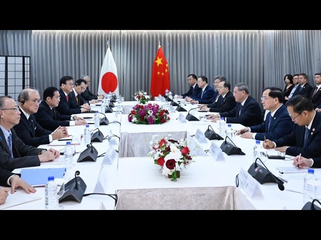 ⁣Le PM chinois exhorte le Japon à travailler de concert avec la Chine