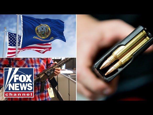 ⁣West Coast Exodus: Idaho gun store sees influx of blue state customers
