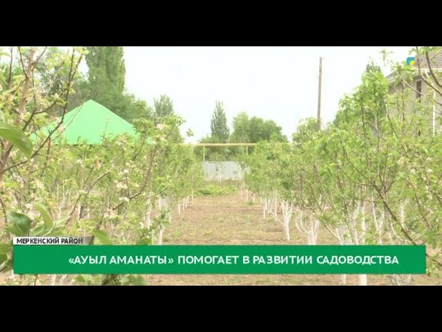 ⁣«Ауыл аманаты» помогает в развитии садоводства
