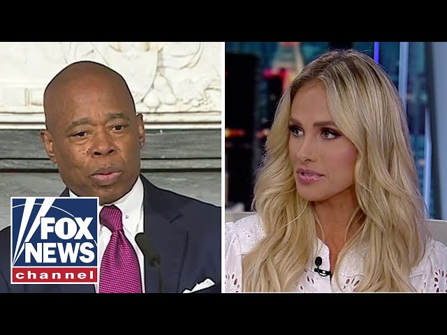 ⁣Tomi Lahren on Eric Adams' 'excellent swimmers' comment: 'This is a racist state