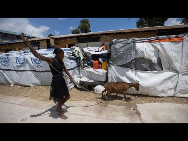 ⁣#PrimeraEmisión| La situación en Haití sigue al rojo vivo y se pospone llegada de la misión de paz