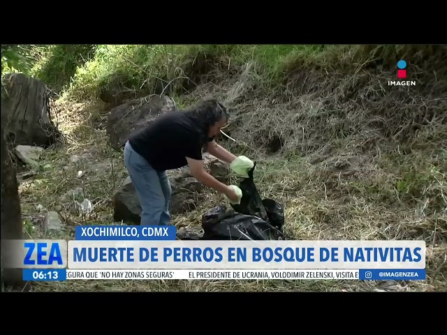 ⁣Piden investigar y encarcelar al responsable de las muertes de perros en el Bosque de Nativitas