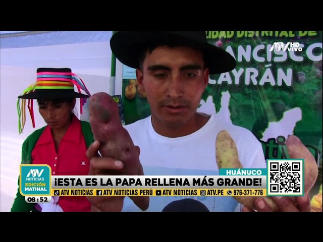 ⁣Huánuco: Elaboran la papa rellena más grande del mundo en el Festival de la Papa Amarilla