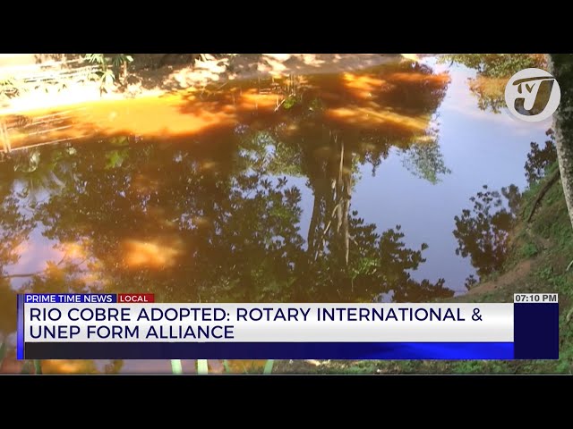 ⁣Rio Cobre Adopted: Rotary International & UNEP form Alliance | TVJ News