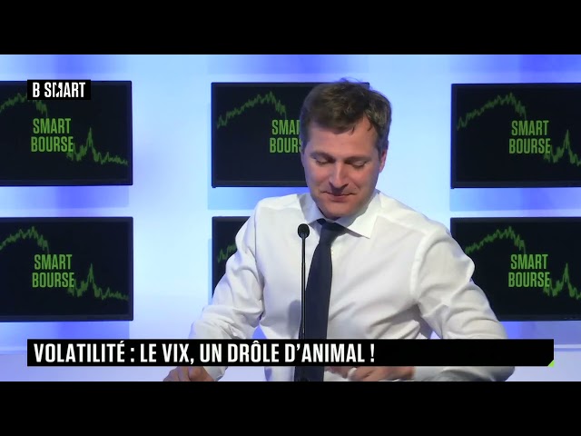 ⁣SMART BOURSE - Volatilité : le Vix, un drôle d'animal !
