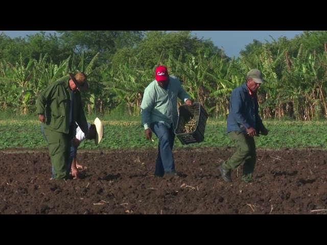 ⁣Trabajadores de #LasTunas se sumaron a la recuperación de polo productivo