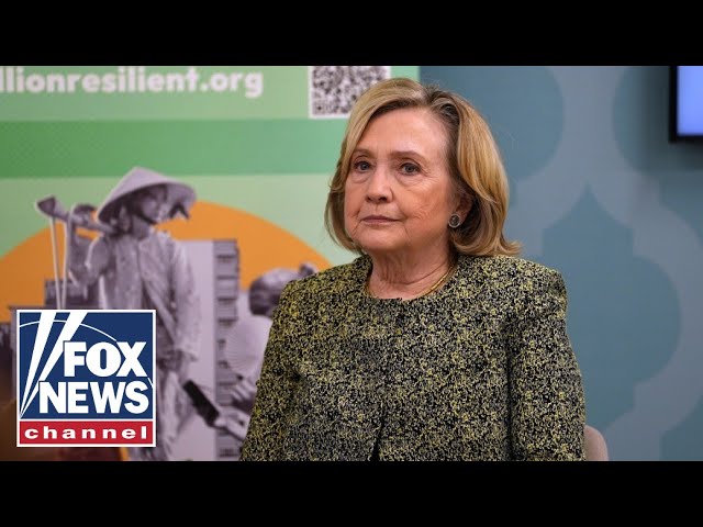 ⁣'EIGHT YEAR PUBLIC THERAPY TOUR': Hillary Clinton blames new demographic for 2016 loss