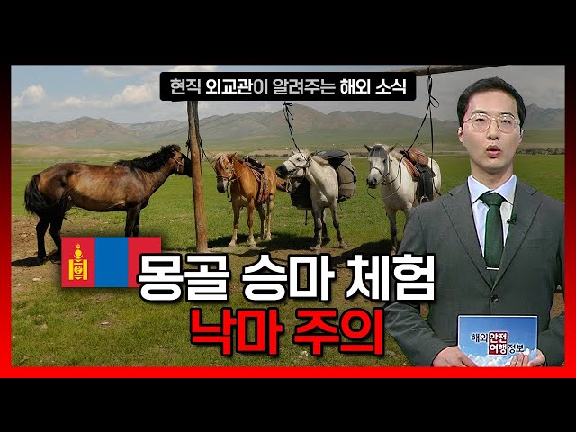 ⁣몽골에서 승마 체험 시 낙마 등 안전사고 주의 / YTN korean