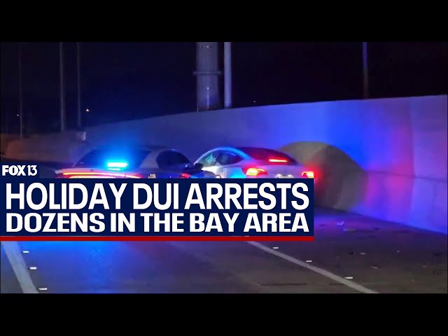 ⁣Dozens of DUI arrests during busy Memorial Day weekend in the Bay Area