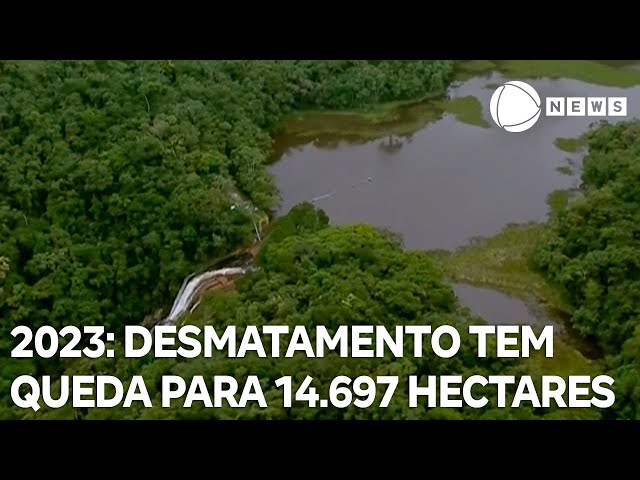⁣Dia Nacional da Mata Atlântica: desmatamento tem queda para 14.697 hectares em 2023