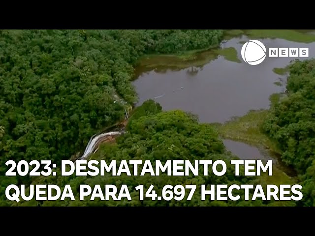 Dia Nacional da Mata Atlântica: desmatamento tem queda para 14.697 hectares em 2023