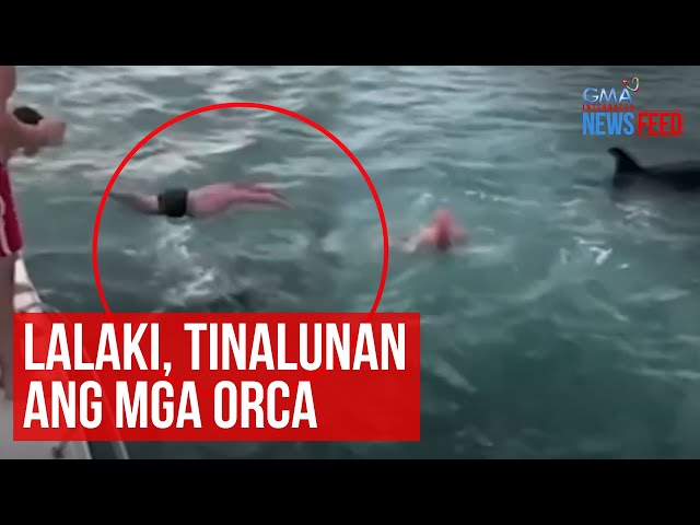 ⁣Lalaki, tinalunan ang mga orca | GMA Integrated Newsfeed