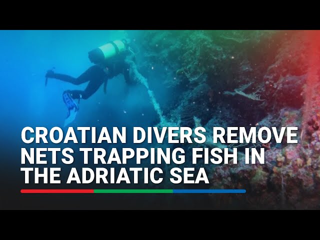 ⁣Croatian divers remove nets trapping fish in the Adriatic Sea