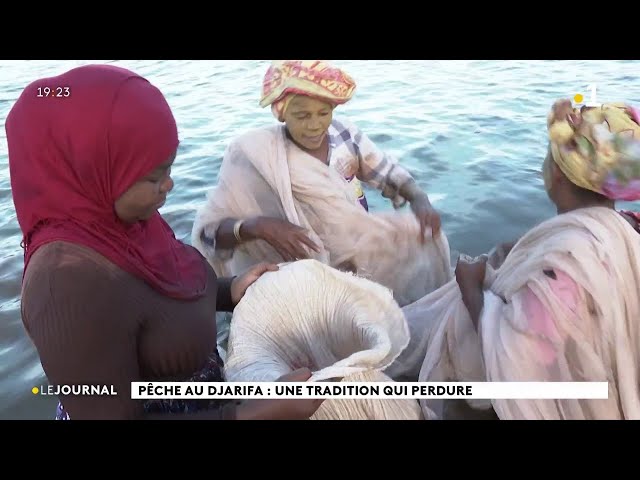 Pêche au djarifa : une tradition qui perdure