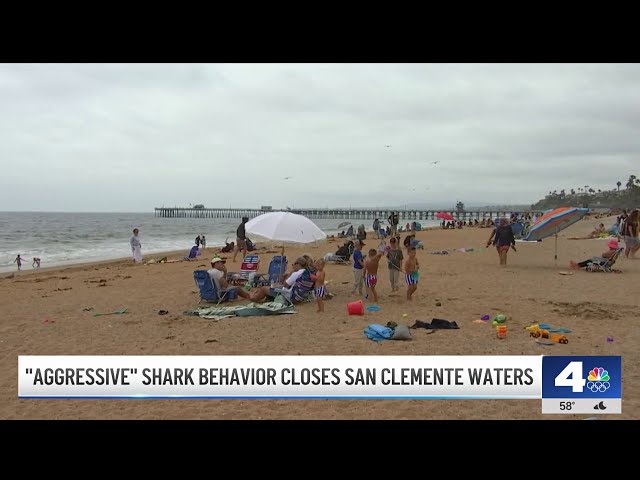 ⁣'Aggressive' shark behavior closes San Clemente waters