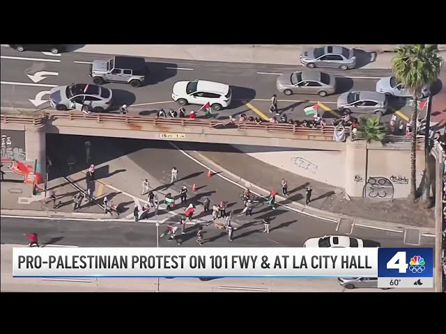⁣Pro-Palestinian protest on 101 Freeway and at LA City Hall