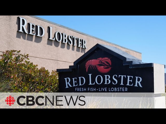 ⁣Red Lobster asking for bankruptcy protection in Ontario court