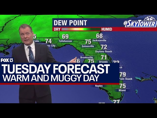 ⁣Tampa weather May 28, 2024 | warm and muggy Tuesday in store
