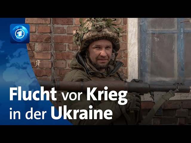 ⁣Angst vor der Front: Wehrfähige Ukrainer fliehen vor Krieg nach Polen