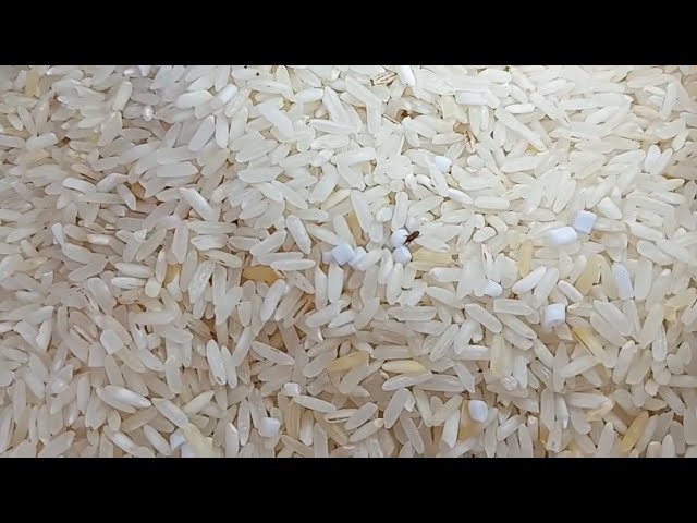 ⁣Des corps étrangers trouvés dans du riz Onicor : Que se passe t-il?