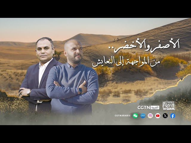 ⁣جسور المحبة: الأصفر والأخضر.. من المواجهة إلى التعايش