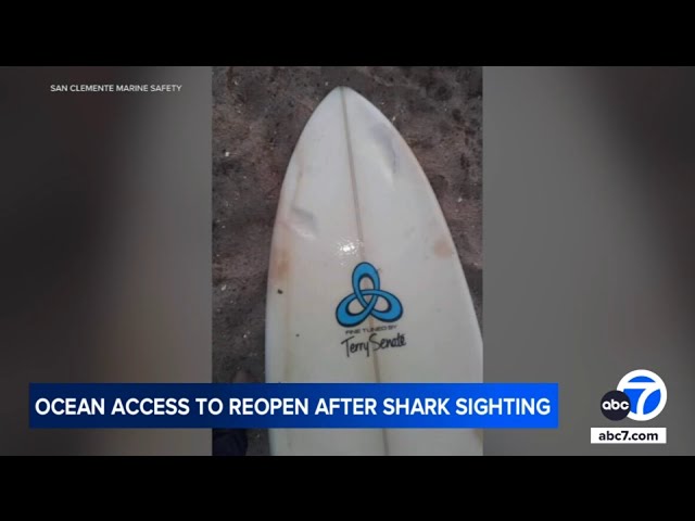 ⁣Shark knocks surfer off board in San Clemente