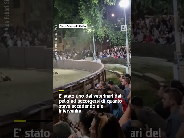 ⁣Palio di Ferrara, il fantino rischia di essere travolto